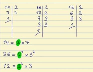 Greatest Common Divisor of 14, 36, and 12.