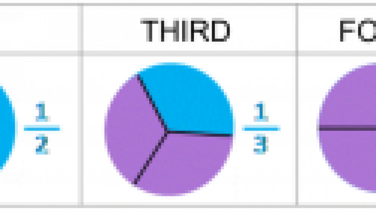 Learn About Fractions Halves Thirds And Fourths Elementary Math