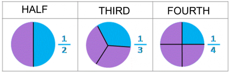 Learn About Fractions: Halves, Thirds and Fourths - Elementary Math