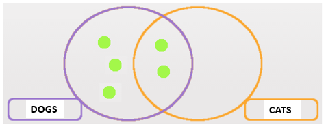 Venn Diagrams