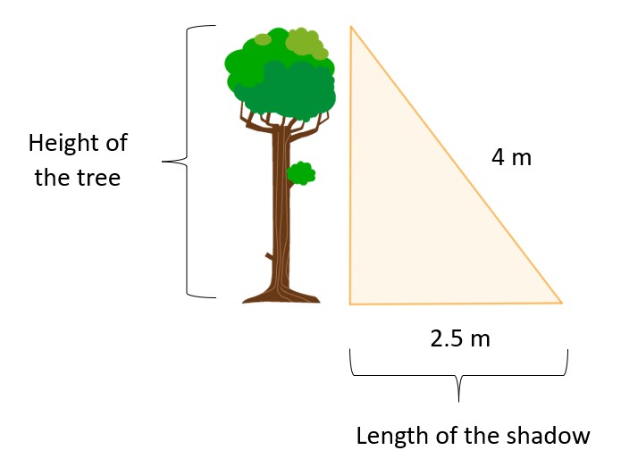 Example of an exercise solved with the Pythagorean theorem