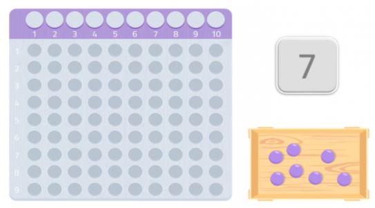 prime numbers