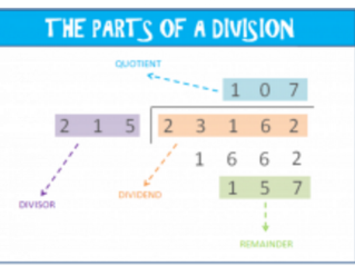 Learn How To Divide With 3-Digit Numbers - Elementary Math