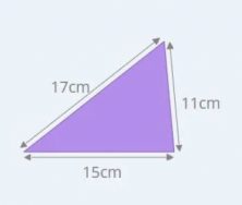 perimeter of a polygon