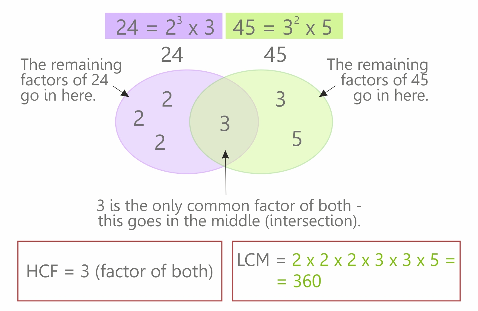 Least Common Multiple: What is the LCM and How to Find it?