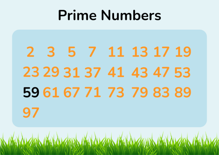 Is 59 a Prime Number | Or is 59 a Composite Number?