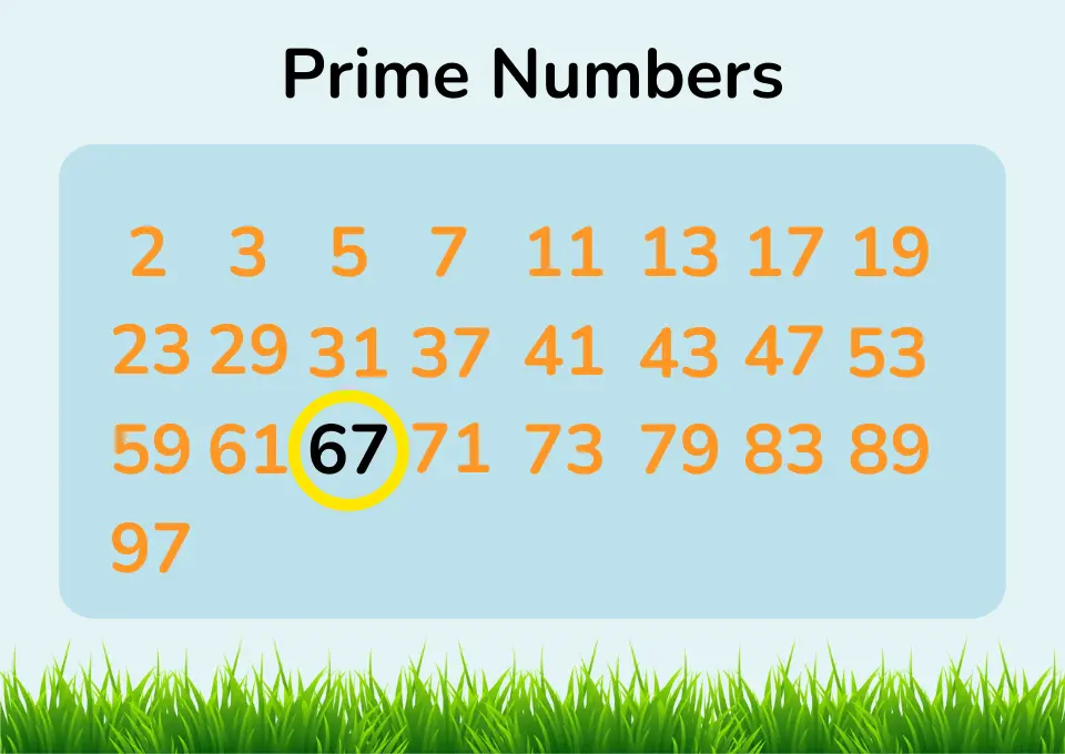 Is 67 A Prime Number Or Is 67 A Composite Number 